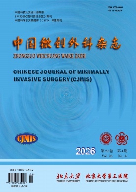 中国微创外科封面